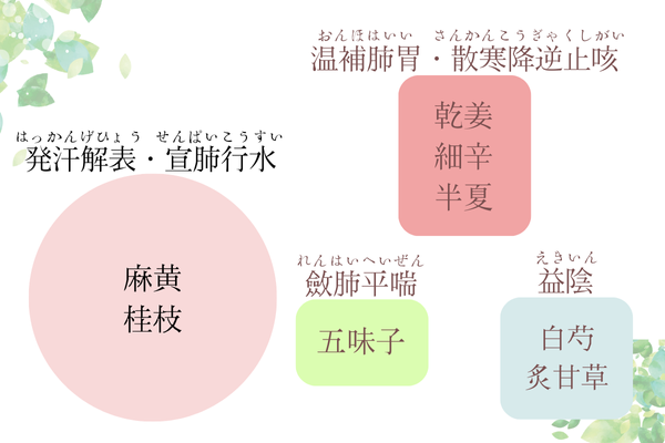 漢方薬辞典-さ行｜漢方と鍼灸 株式会社誠心堂薬局