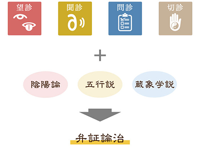 中医学における漢方薬の特徴