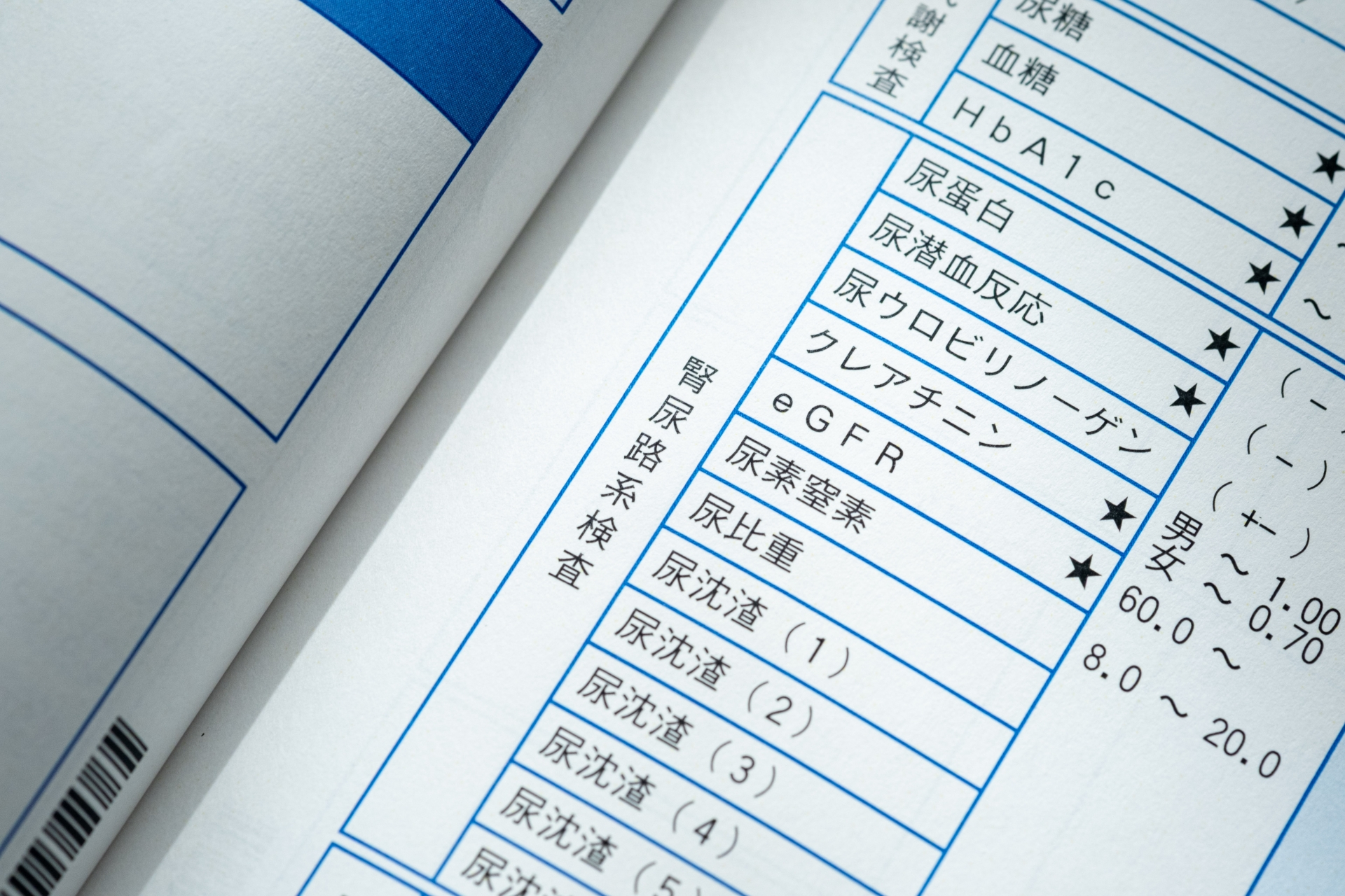 まとめ：腎臓を守る