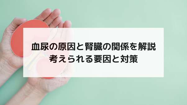 血尿の原因と腎臓の関係を解説