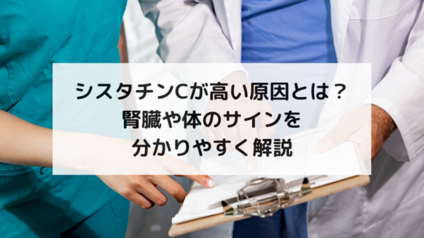 シスタチンCが高い原因とは？