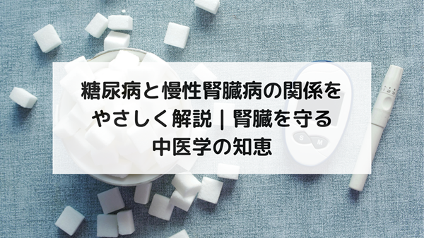 糖尿病と慢性腎臓病の関係をやさしく解説｜腎臓を守る中医学の知恵