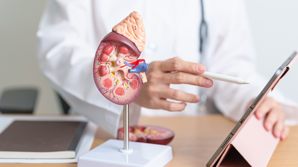 貧血と慢性腎臓病の関係を理解しよう