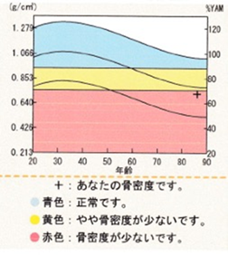 YAM値（Young Adult Mean：若年成人平均値）
