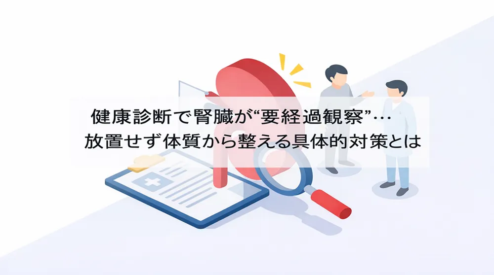 健康診断で腎臓が“要経過観察”…放置せず体質から整える具体的対策とは