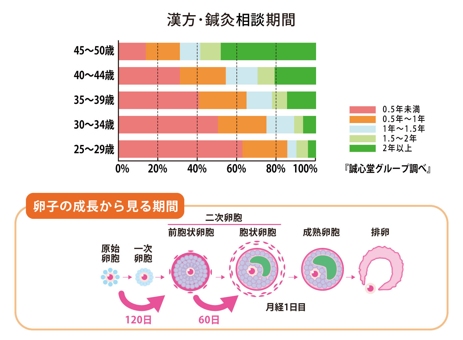 漢方・鍼灸の相談期間