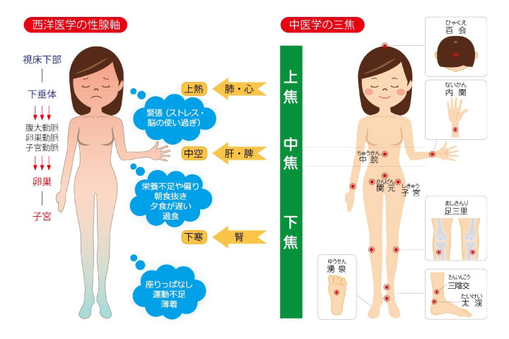 妊活鍼灸「誠心堂式三焦調整法」