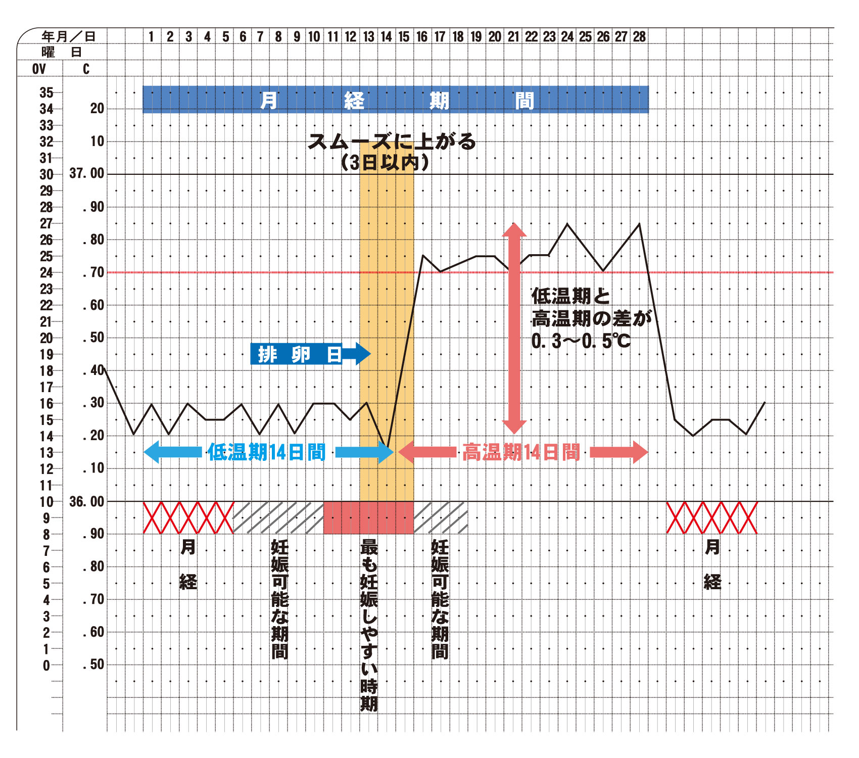 きれいですか t基礎体温グラフ 漢方と鍼灸 株式会社誠心堂薬局