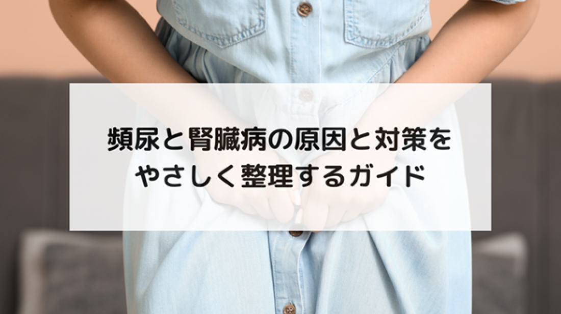 【腎臓ブログ】頻尿と腎臓病の関係性は？不調の原因と対策をわかりやすく解説