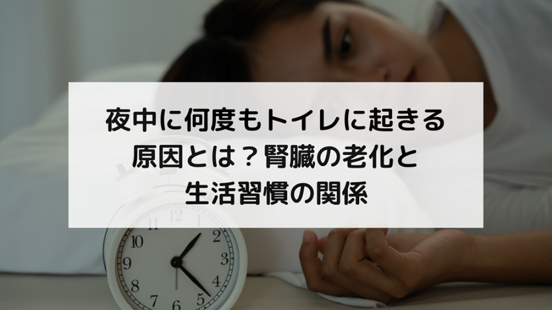 【腎臓ブログ】夜中に何度もトイレに起きる原因とは？腎臓の老化と生活習慣の関係を解説します。