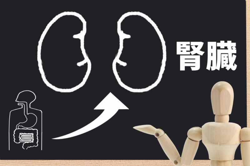 腎臓機能低下など、腎臓のお悩みも
お気軽にご相談ください。
