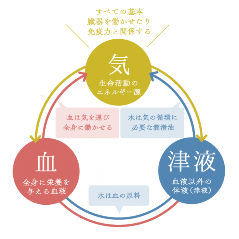 ～　体質改善について　～
 