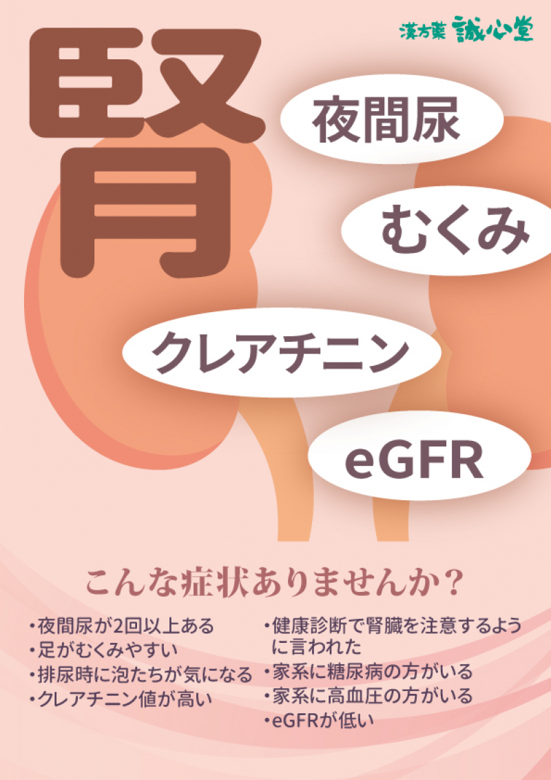 慢性腎臓病とは、
何らかの原因により腎臓の機能が低下したり、尿にタンパクが出る状態が３か月以上持続するもので、最終的に腎不全となる可能性があるものをいいます。