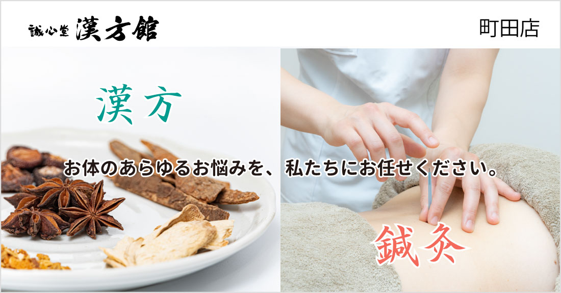 誠心堂漢方館 町田店