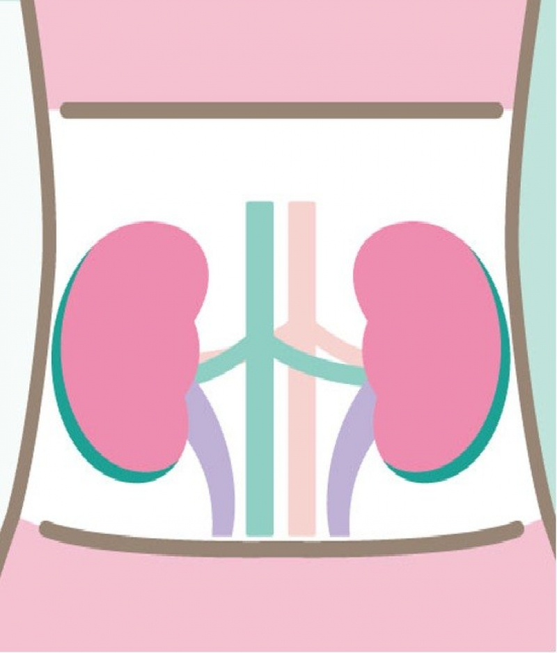 慢性腎臓病