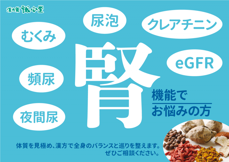 慢性腎臓病と漢方の活用