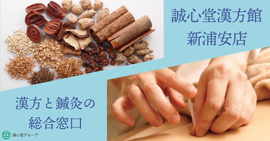 誠心堂漢方館 新浦安店