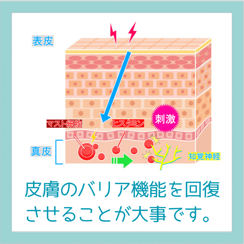 皮膚病漢方相談
アトピー、ニキビに悩んでいませんか？