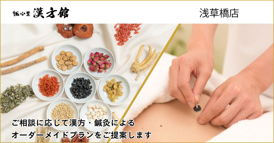 誠心堂漢方館 浅草橋店