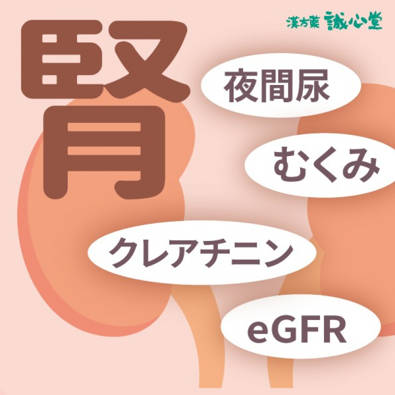 慢性腎臓病とは
何らかの原因で腎臓の機能が低下したり、尿にタンパクが出る状態が３か月以上持続するもので、最終的に腎不全となる可能性があるものをいいます。