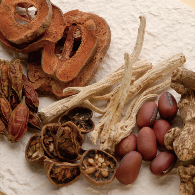 一人ひとりに寄り添う漢方と鍼灸の相談室。体質改善から日々の養生まで、オーダーメイドでサポートします。