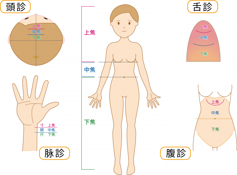 妊活鍼灸
「三焦調整法」