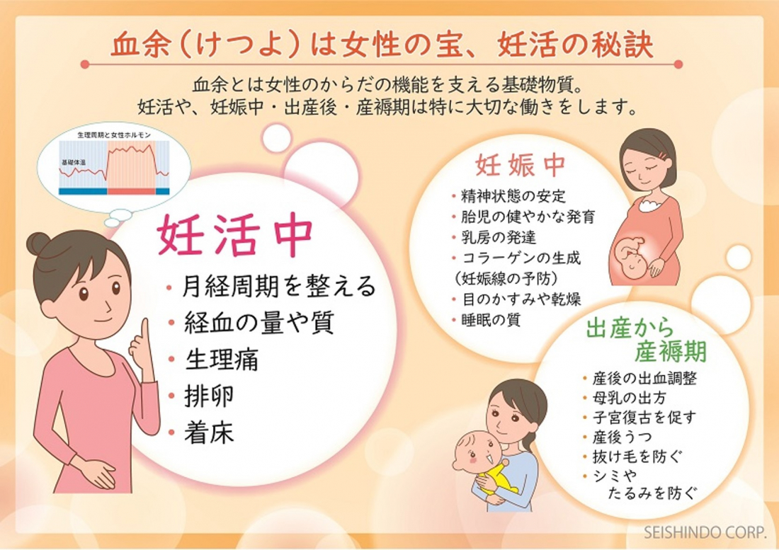 血余とは?血余の観点から考える妊活コラム第1回