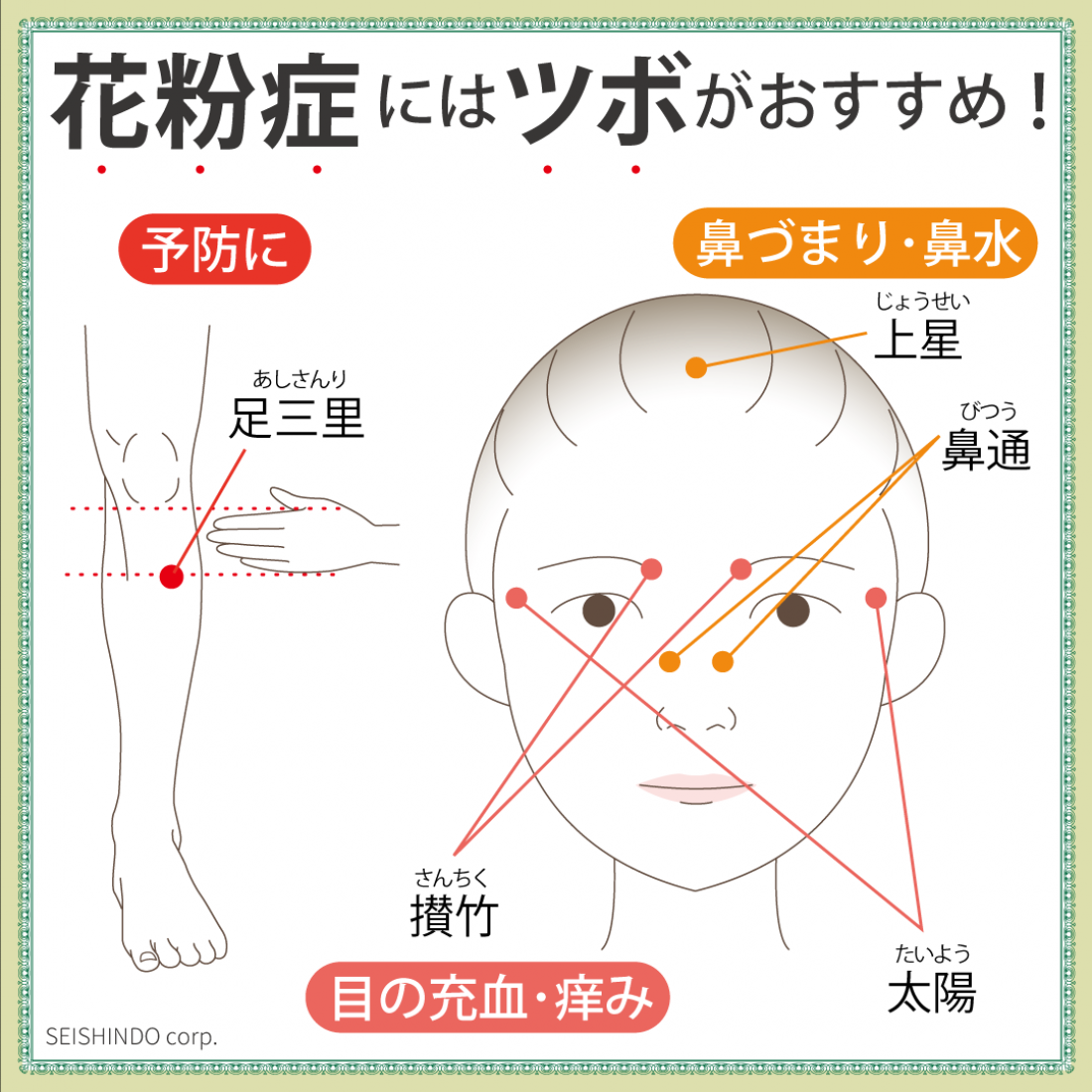 「花粉症のシーズン」