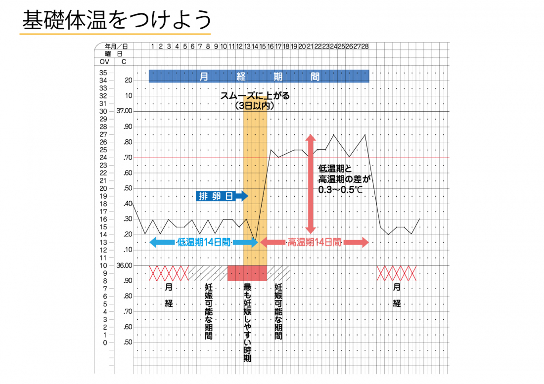 【測っていますか?】基礎体温表について!