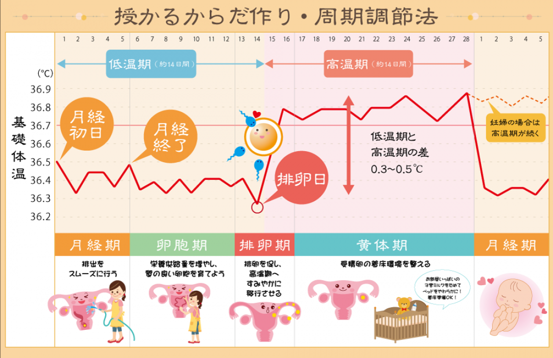 【速報】20220年1月からの妊娠者数