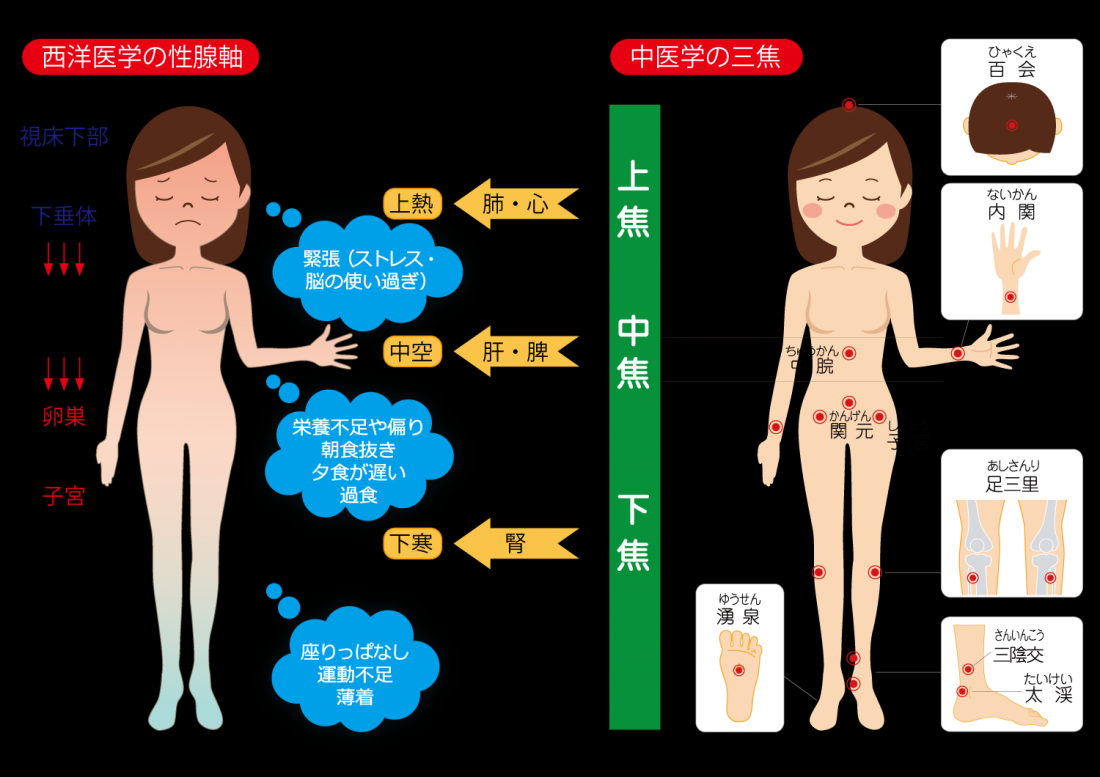 【誠心堂の妊活鍼三焦調節法】