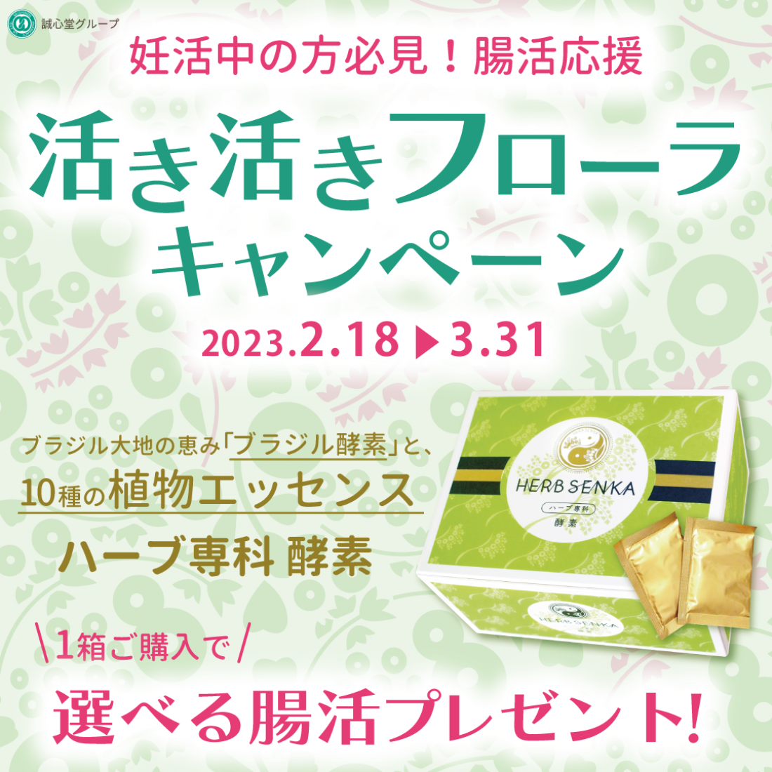 本日より腸内フローラ改善キャンペーン開催します。