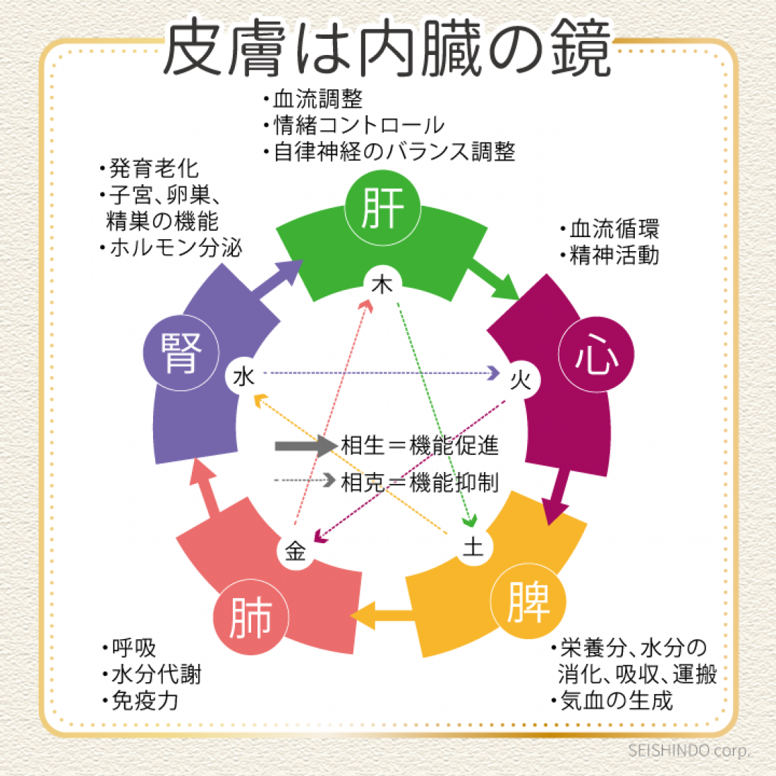 松島店長の皮膚トラブル相談会