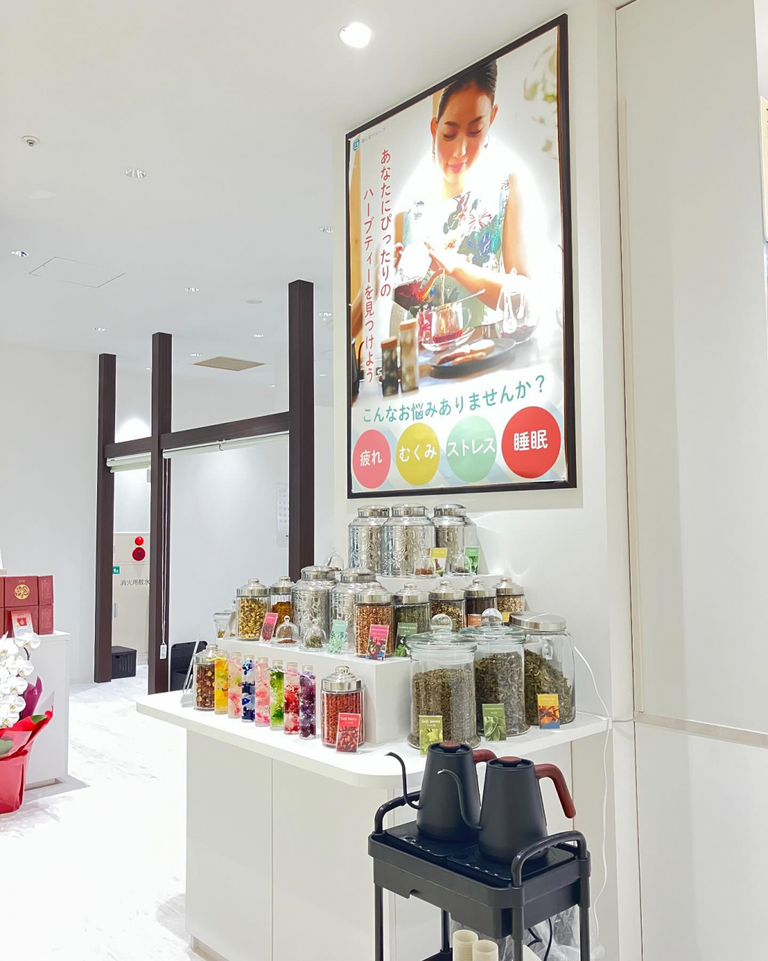 漢方館町田店のハーブ