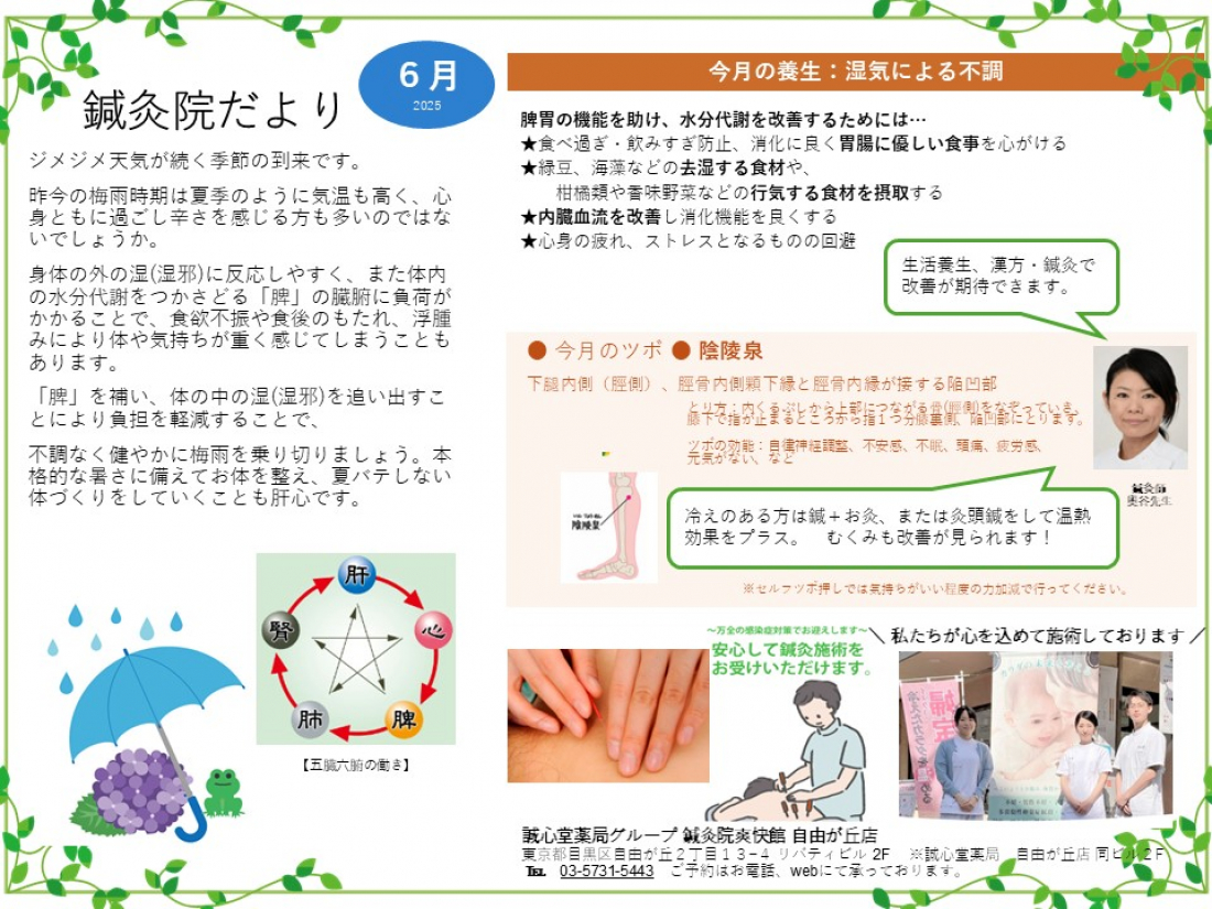鍼灸院だより2025年6月