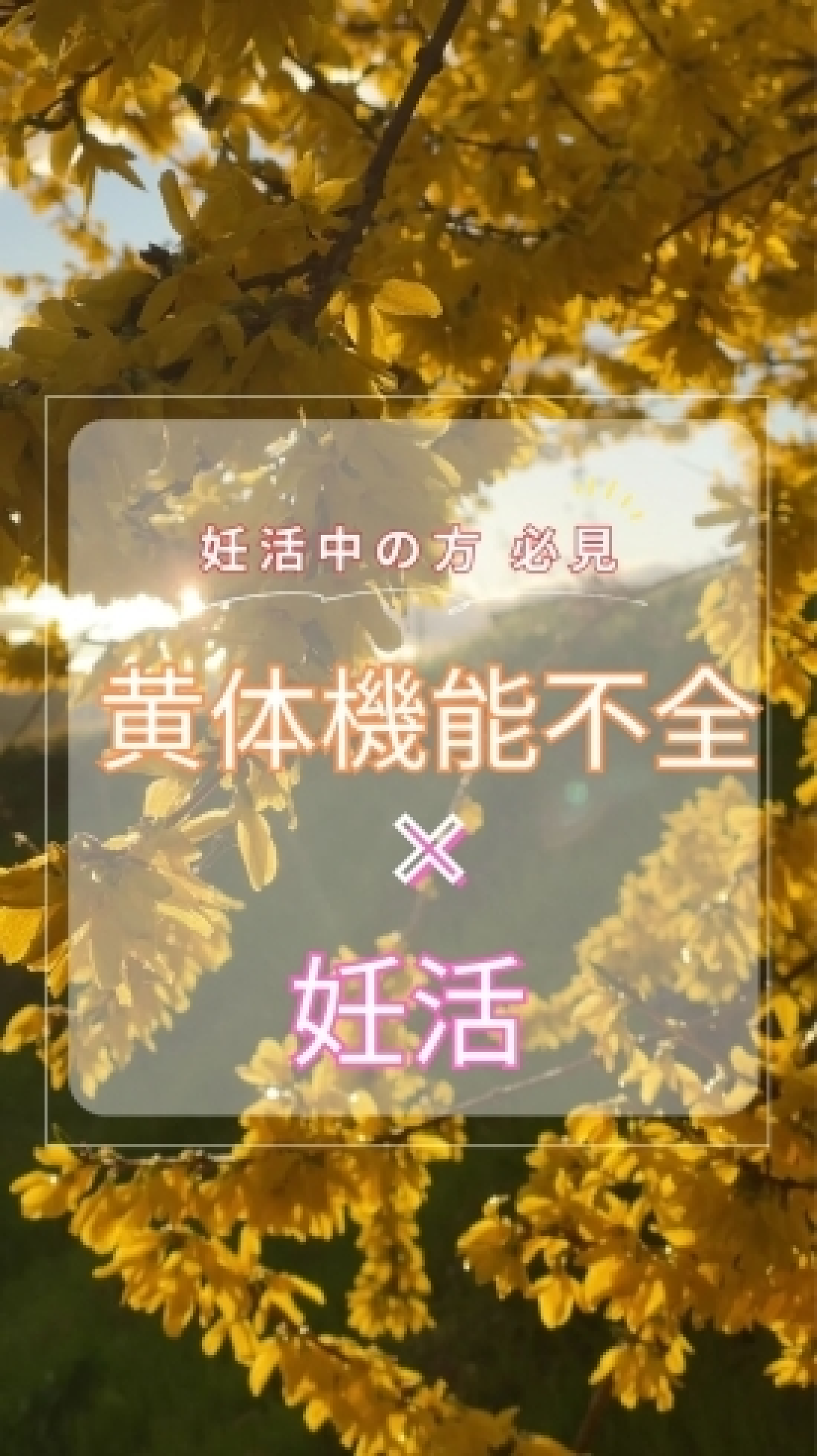 【津田沼で妊活漢方相談】黄体機能不全×妊活