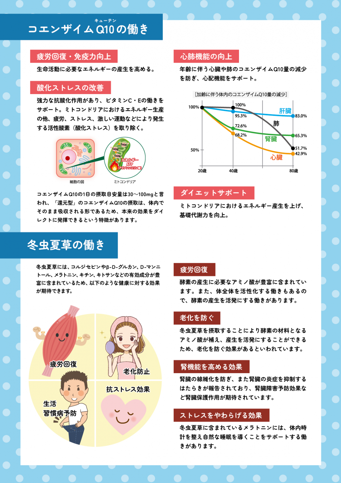 津田沼で夏バテ対策なら｜中医学で「心」と「腎」を守る漢方ケアを