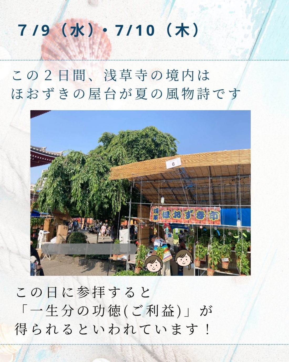 「浅草寺でほおずき市が開催されています」