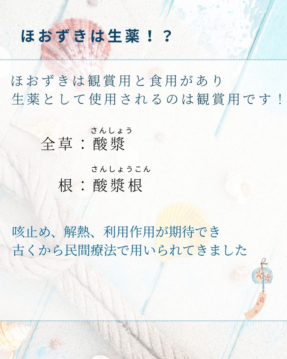 「浅草寺でほおずき市が開催されています」
