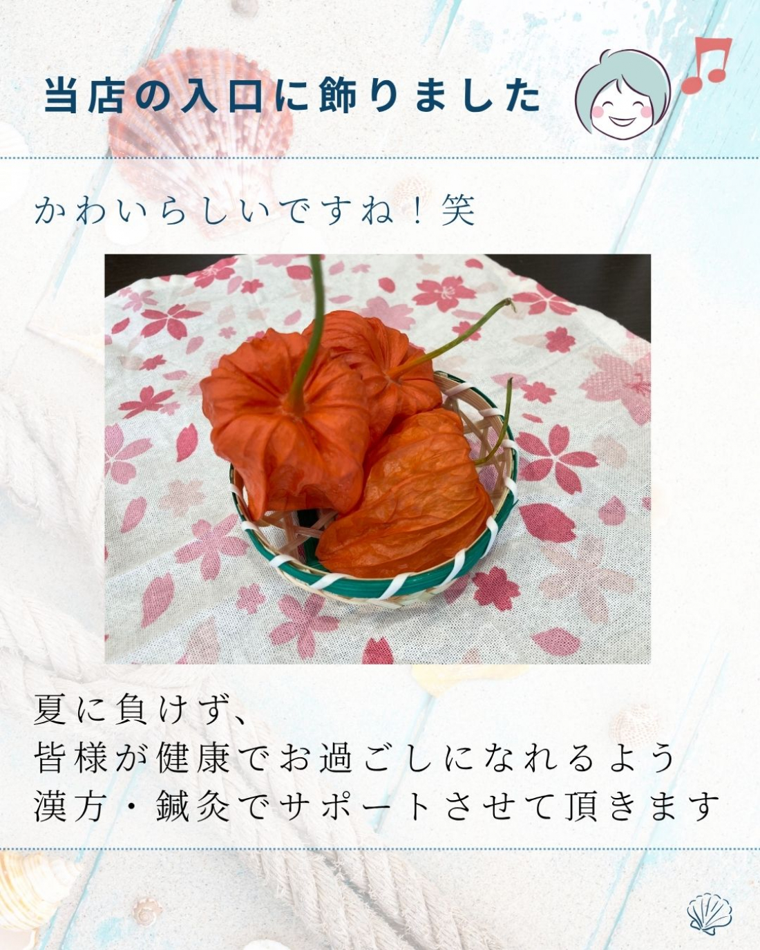 「浅草寺でほおずき市が開催されています」