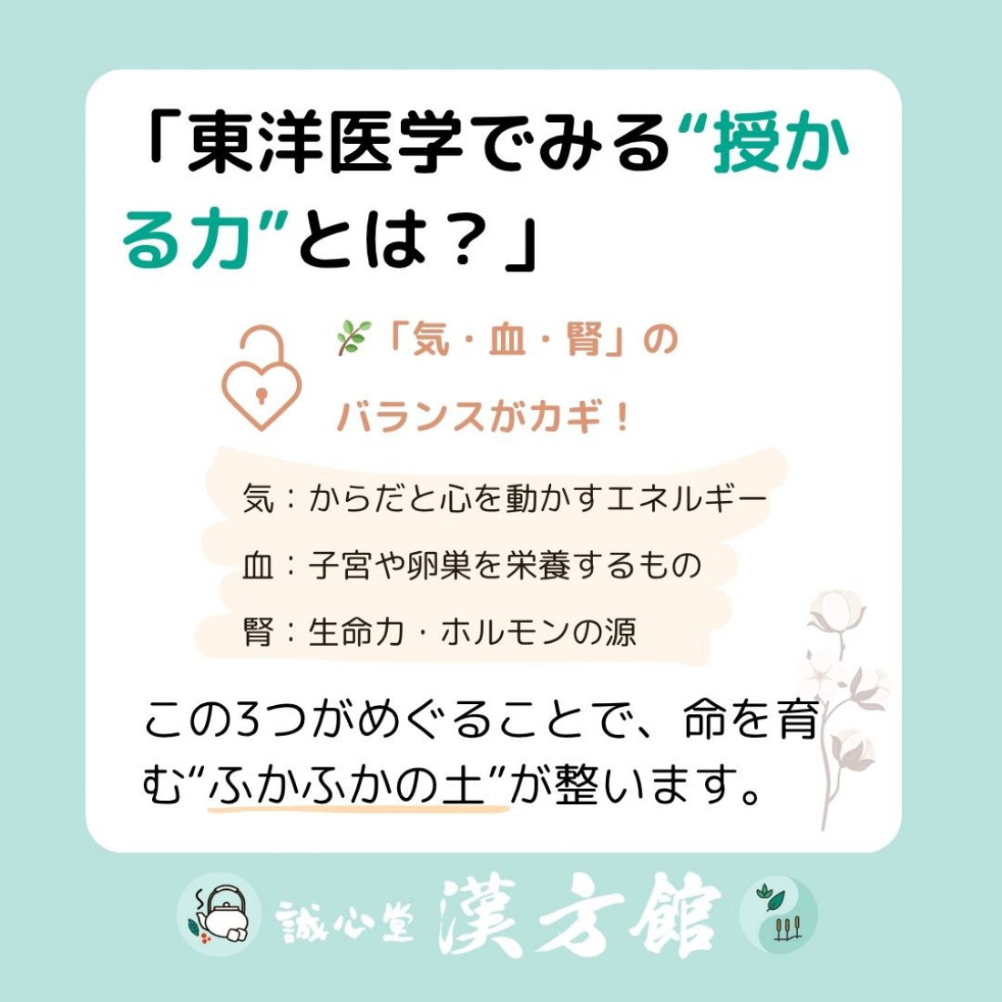 妊活は”自分の体質を知る”ところから