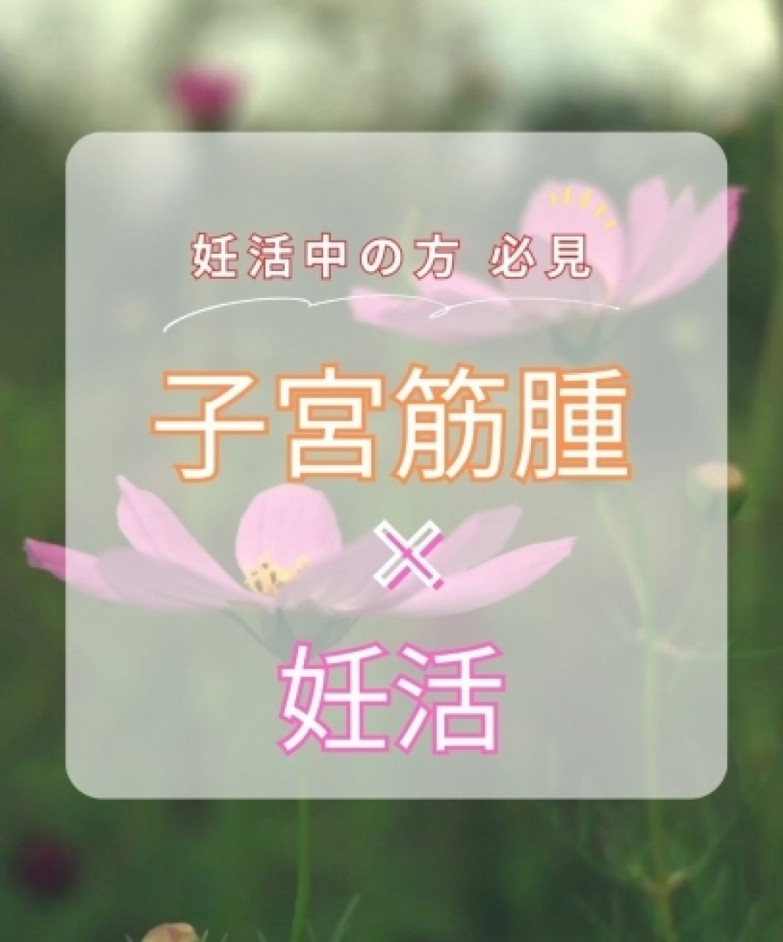 子宮筋腫と妊活の関係とは？｜津田沼で漢方相談なら誠心堂薬局 津田沼店へ