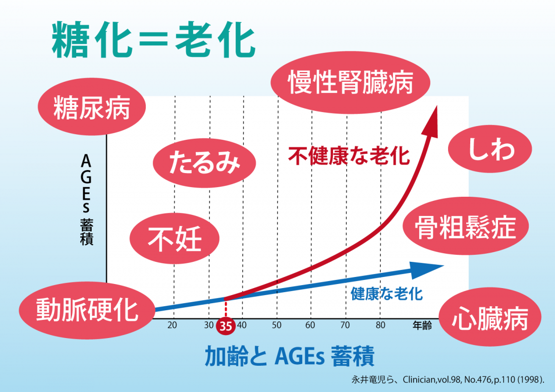 【新浦安で慢性腎臓病（CKD）対策｜老化＝糖化】AGEsの蓄積が腎臓を傷める理由とは？