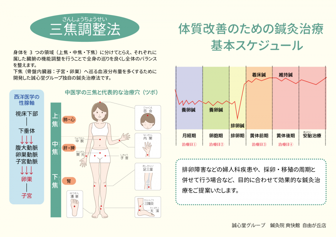 妊活鍼灸、三焦調整法とは!?