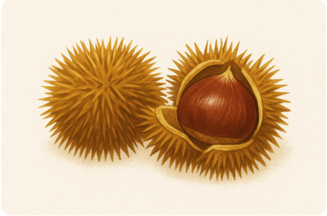 10月のコラム①