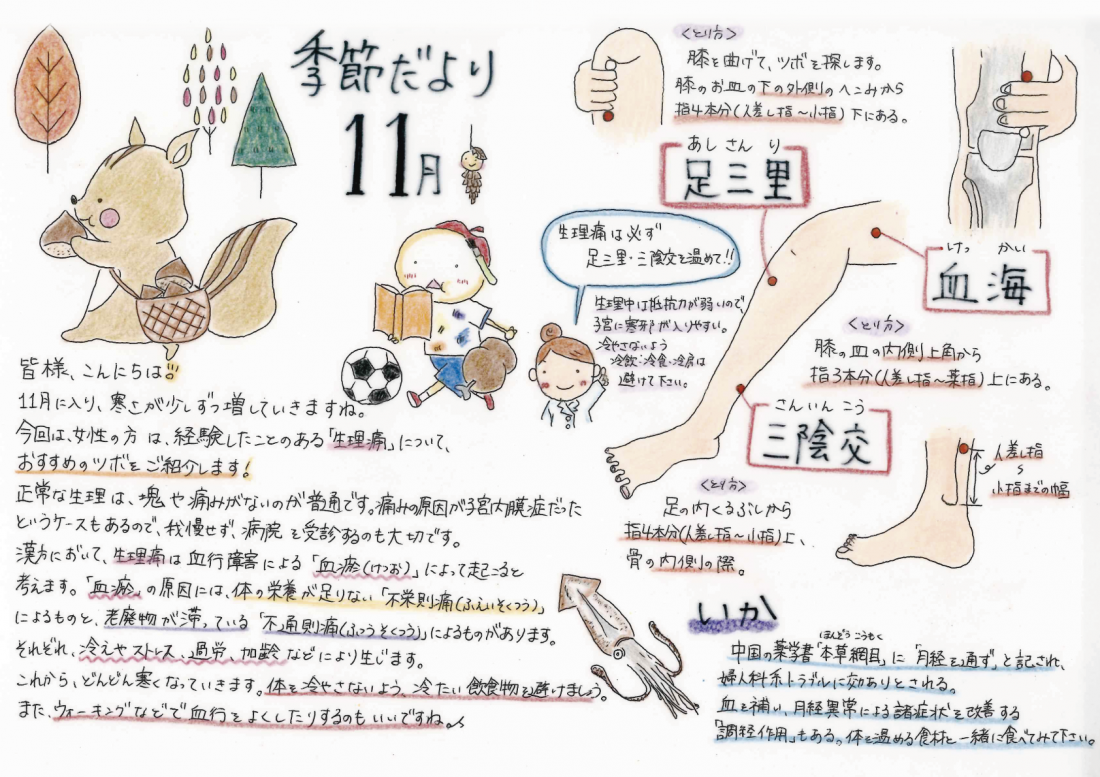 「11月の養生」