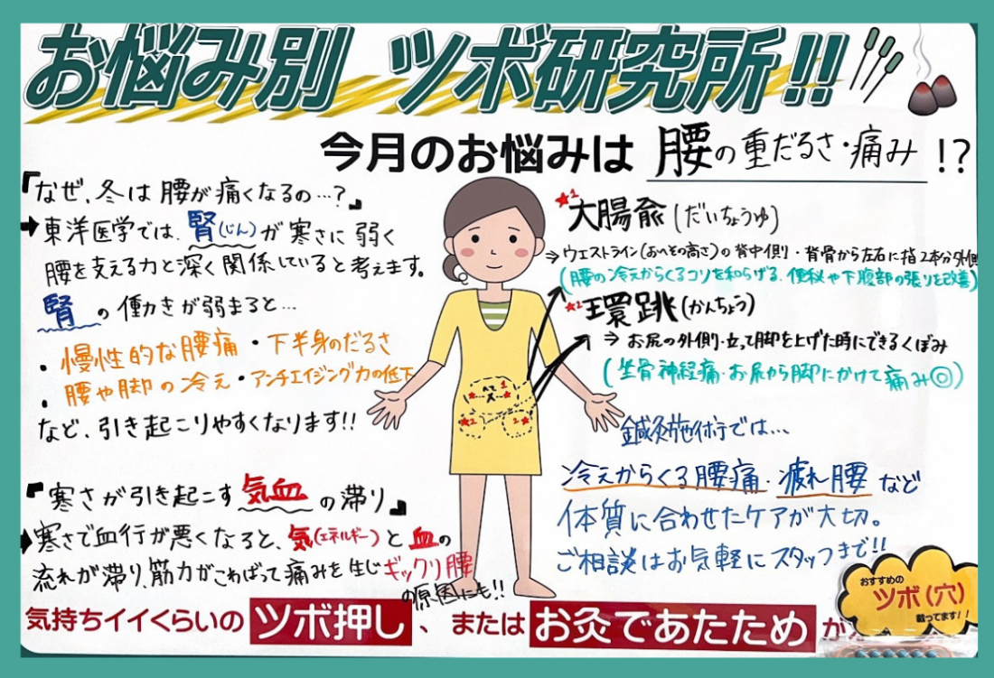 【11月の養生 腰痛 】ツボ押しセルフケア ♪