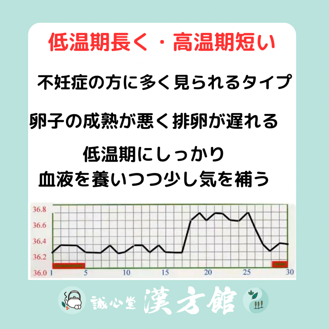 妊活 基礎体温との関係性について