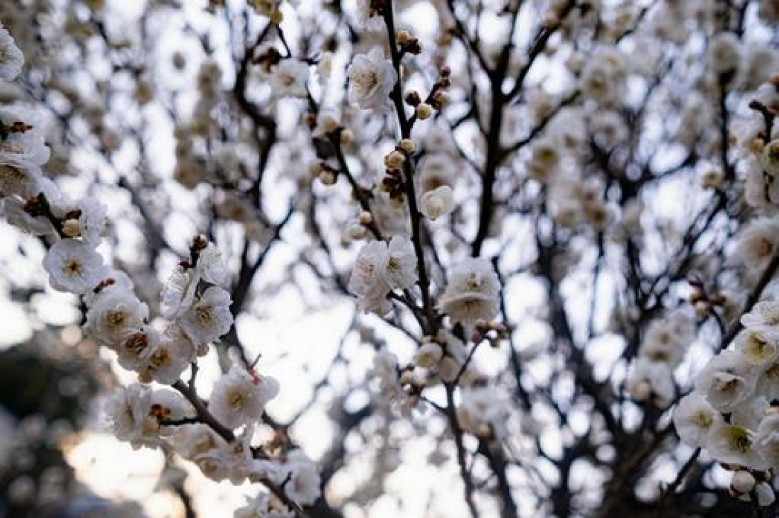 予約状況のお知らせ《2/14~2/28》