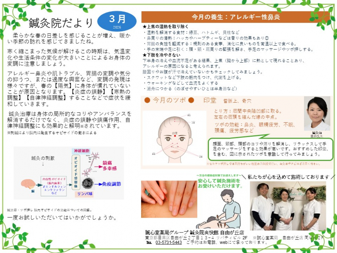 鍼灸院だより2026年3月　アレルギー性鼻炎　～上焦の湿熱を取り除く～